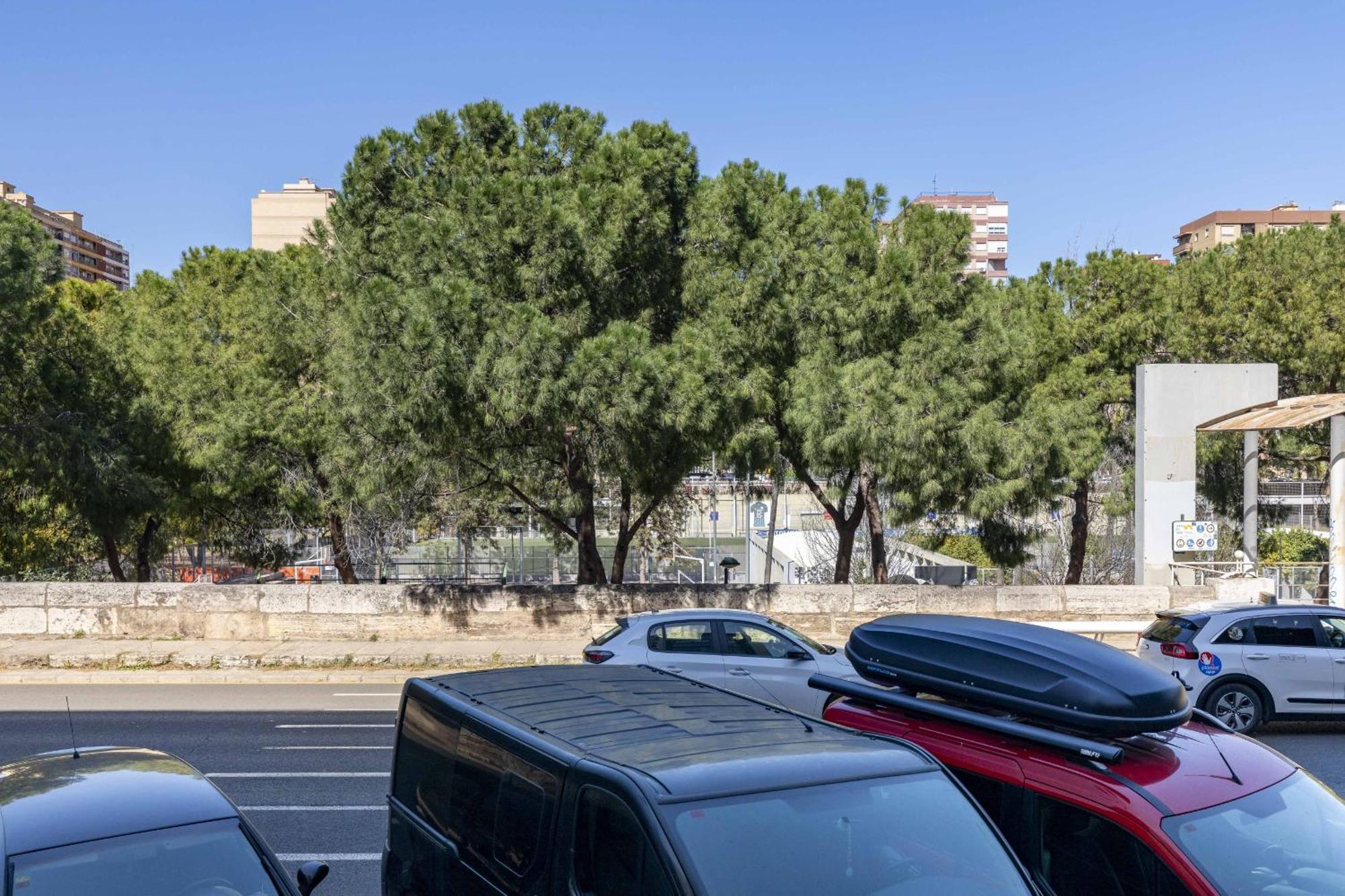 Apartup Turia River Park Valencia Eksteriør bilde
