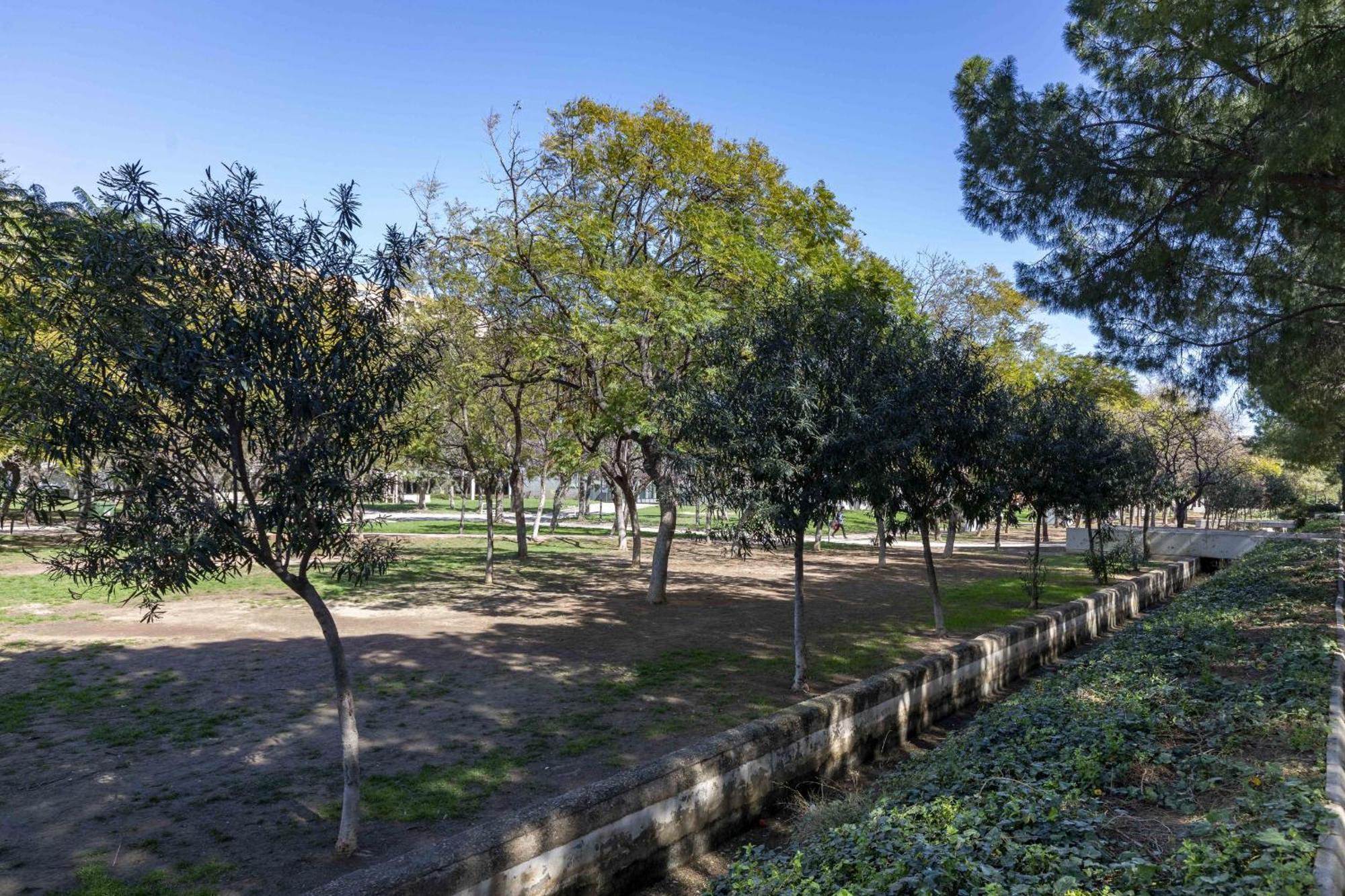 Apartup Turia River Park Valencia Eksteriør bilde